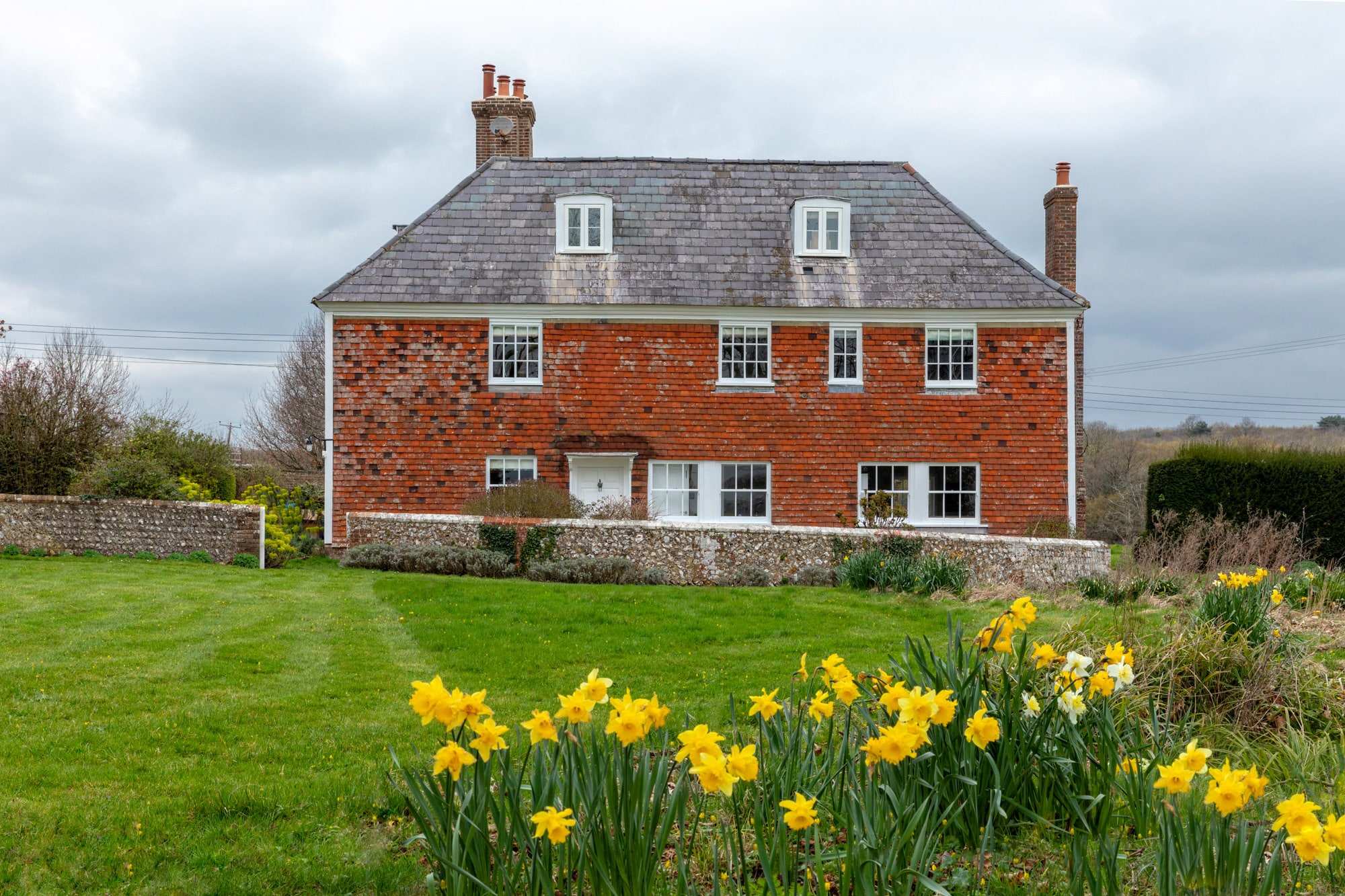 architectural photo: farm building, green grass, yellow daffodils
